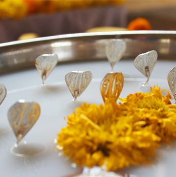 kalsarp puja